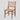 Aarya Fiber Dining Chair